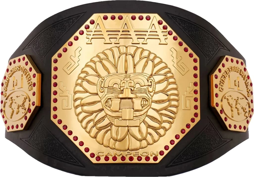 Replica championship title belt finished to display standard, plate by plate.