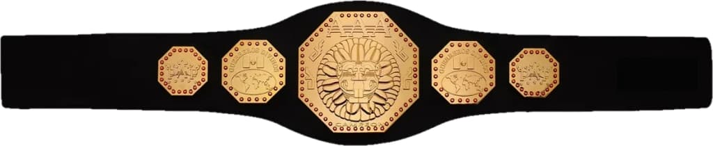 Display-grade toy title belt with die-struck metal plates on a full-grain leather strap.