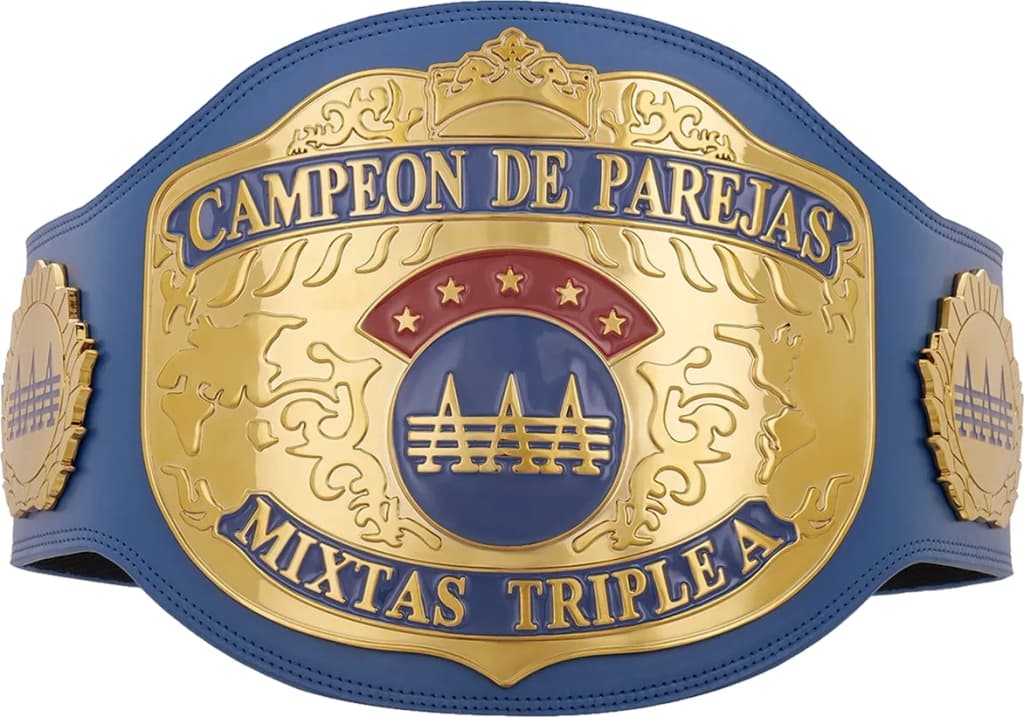 Replica championship title belt finished to display standard, plate by plate.