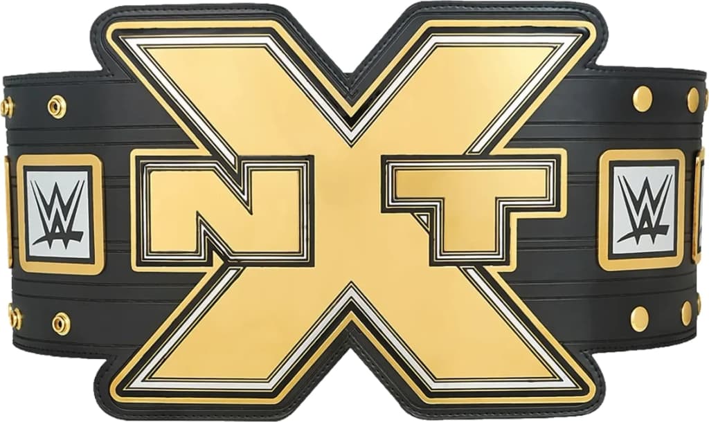 Display-grade replica championship title belt with die-struck metal plates on a full-grain leather strap.