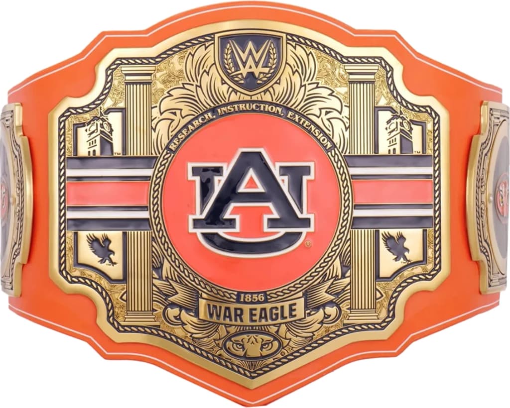 Replica championship title belt finished to display standard, plate by plate.