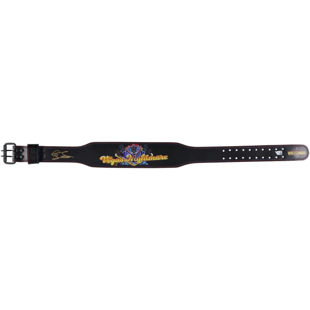 Display-grade replica championship title belt with die-struck metal plates on a full-grain leather strap. Hand-signed and shipped with a certificate of authenticity.