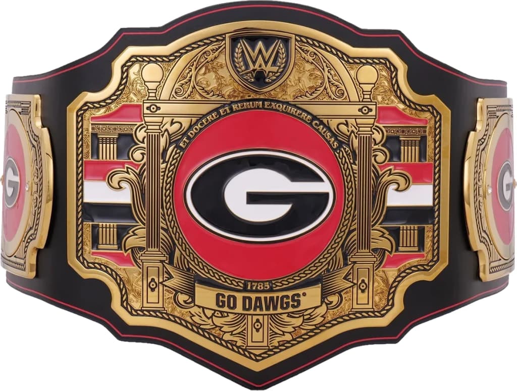 Display-grade replica championship title belt with die-struck metal plates on a full-grain leather strap.