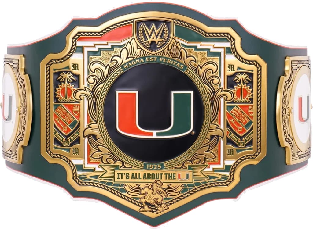 Replica championship title belt finished to display standard, plate by plate.