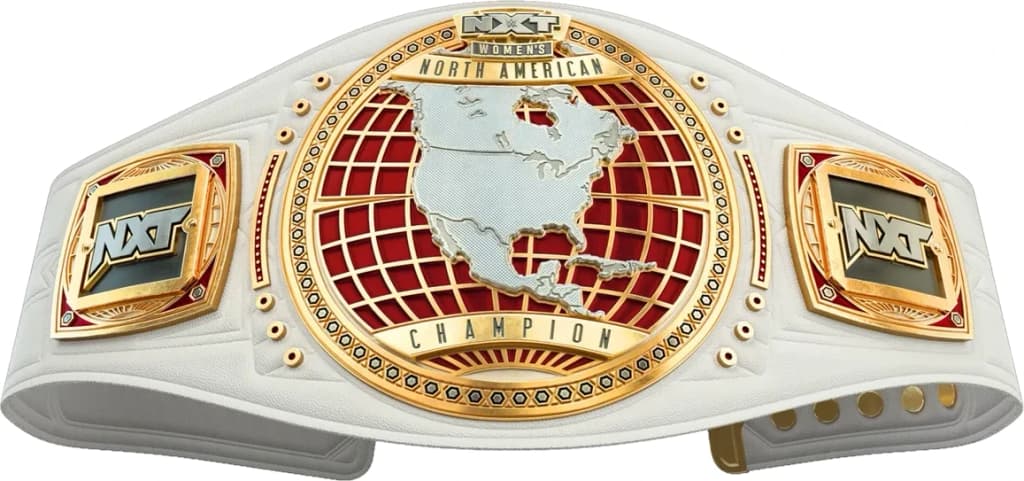 Replica championship title belt finished to display standard, plate by plate.