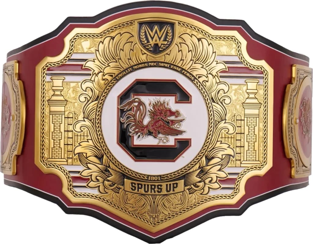 Replica championship title belt finished to display standard, plate by plate.