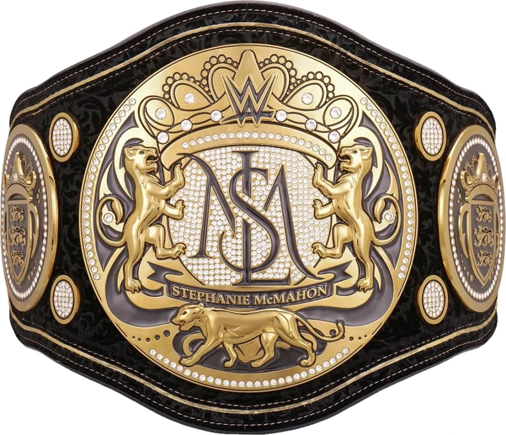 Replica championship title belt finished to display standard, plate by plate.