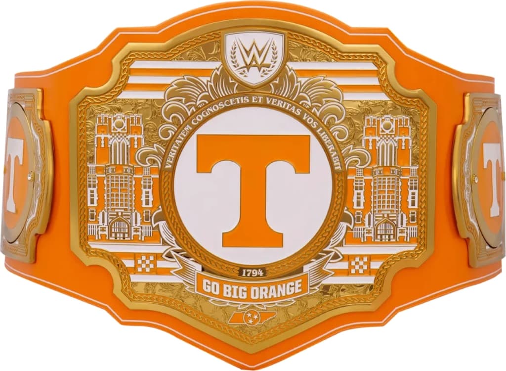 Replica championship title belt finished to display standard, plate by plate.