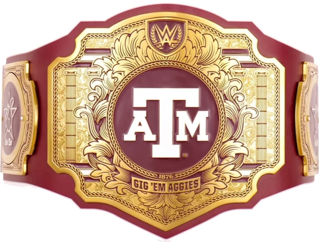 Replica championship title belt finished to display standard, plate by plate.