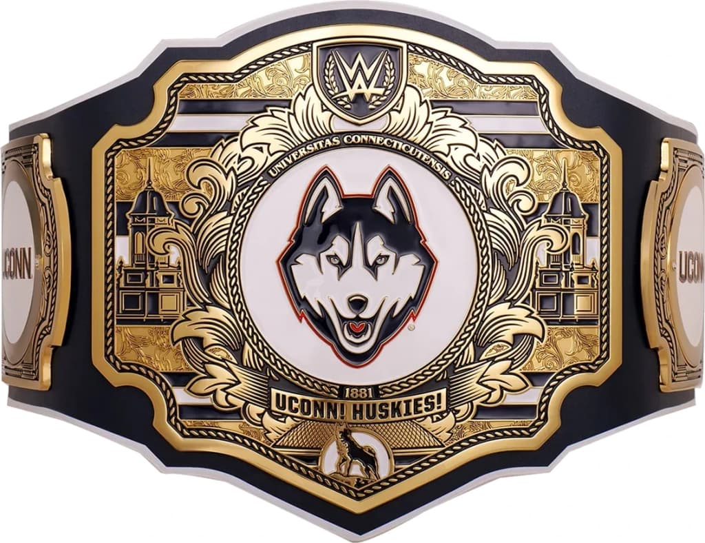 Replica championship title belt finished to display standard, plate by plate.