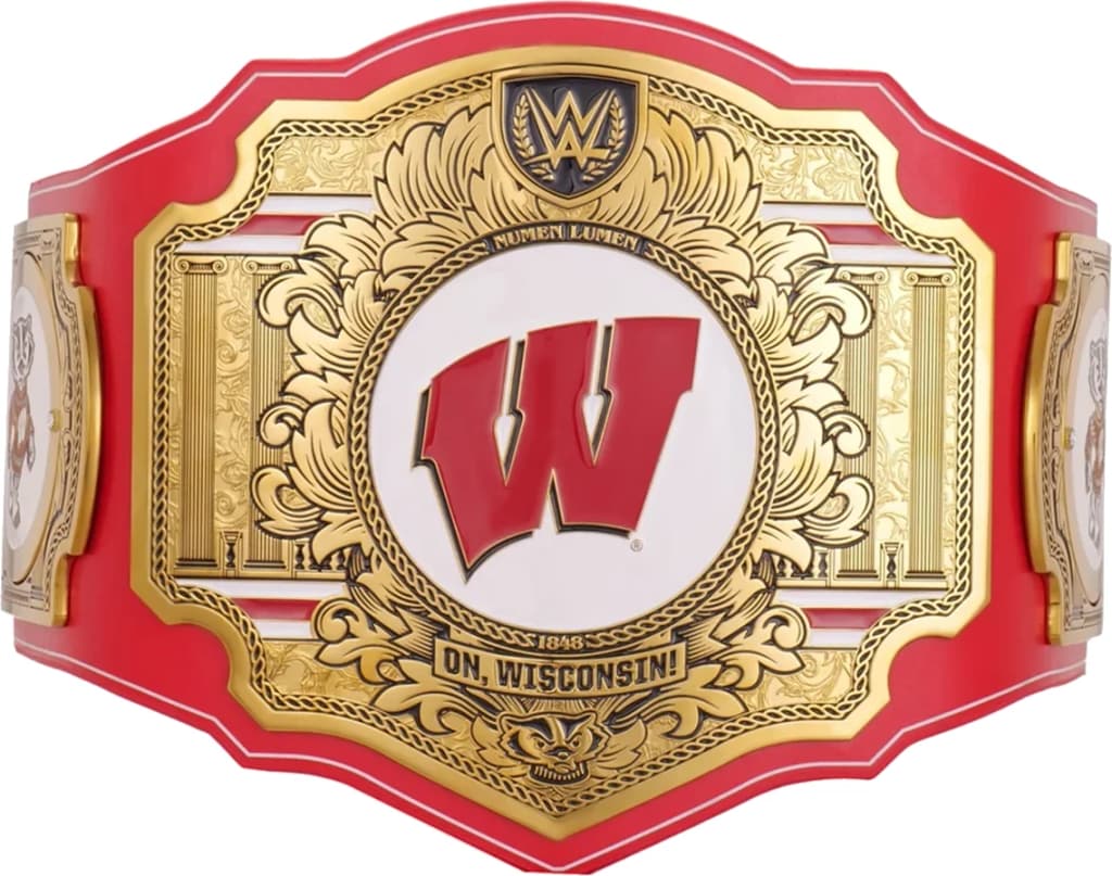 Display-grade replica championship title belt with die-struck metal plates on a full-grain leather strap.